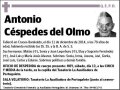 CESPEDES DEL OLMO,ANTONIO