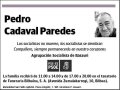 CADAVAL PAREDES,PEDRO