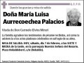 AURRECOECHEA PALACIOS,MARIA LUISA