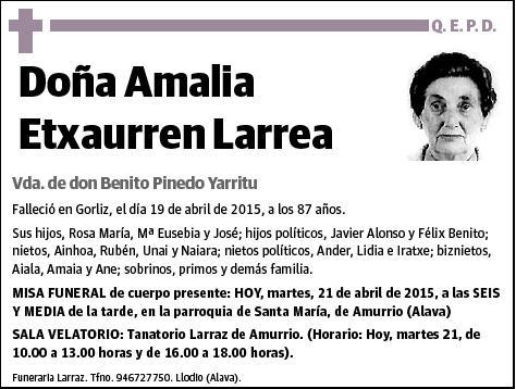 ETXAURREN LARREA,AMALIA