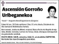 GORROÑO URIBEGANEKOA,ASCENSION