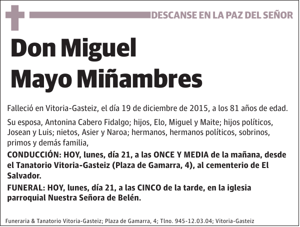 Miguel Mayo MiÃ±ambres
