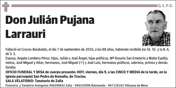 Julián Pujana Larrauri