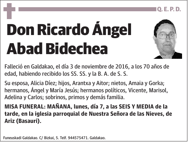Ricardo Ángel Abad Bidechea