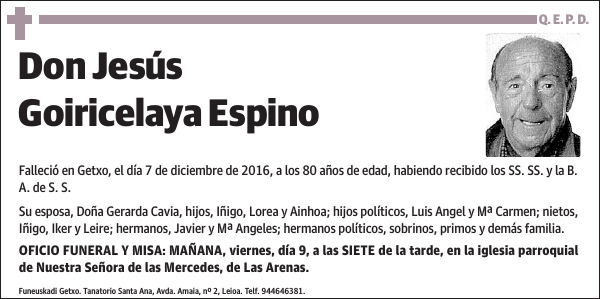 Jesús Goiricelaya Espino