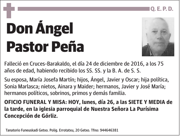 Ángel Pastor Peña