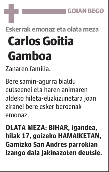 Carlos Goitia Gamboa
