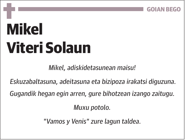 Mikel Viteri Solaun
