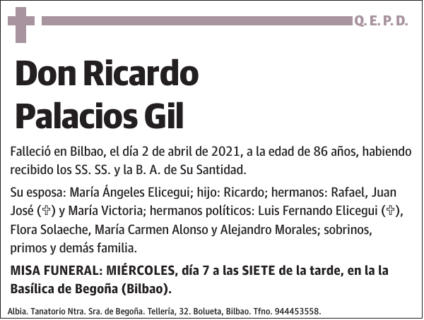 Ricardo Palacios Gil