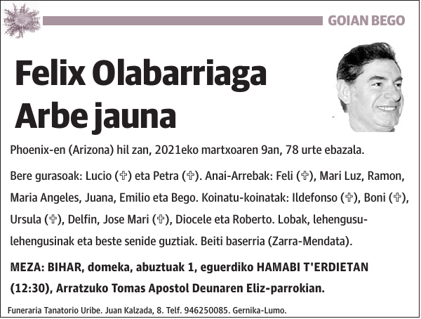 Felix Olabarriaga Arbe