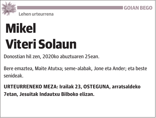 Mikel Viteri Solaun