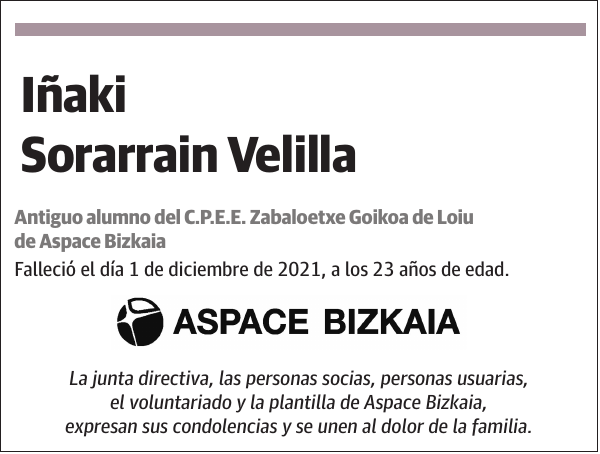 Iñaki Sorarrain Velilla