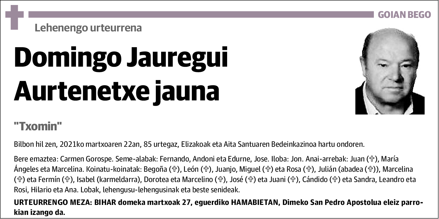 Domingo Jauregui Aurtenetxe