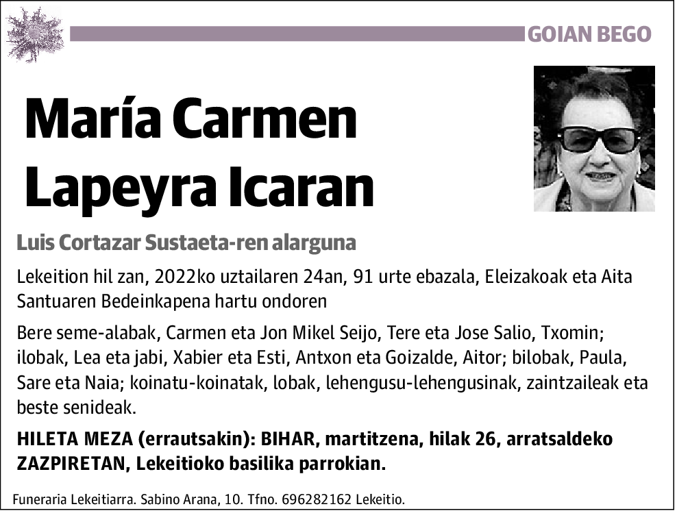 María Carmen Lapeyra Icaran