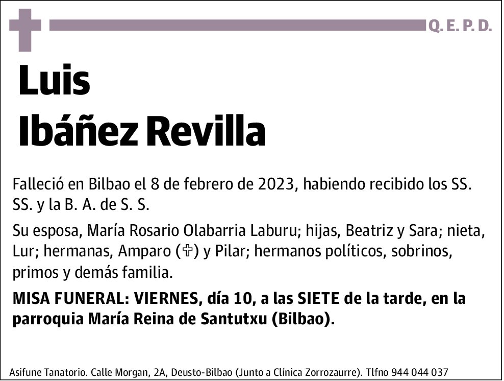 Luis Ibáñez Revilla