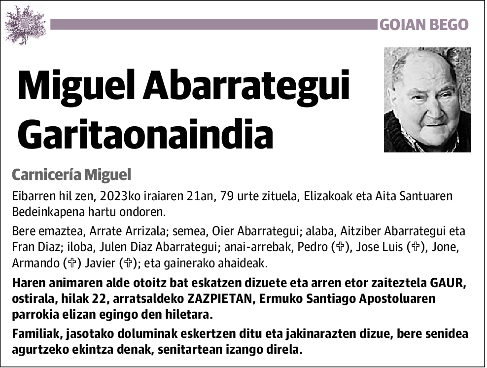 Miguel Abarrategui Garitaonaindia