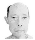 Francisco Javier Gómez Muñoz
