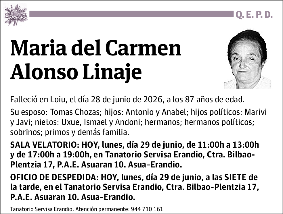 María del Carmen Alonso Linaje