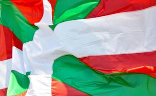 Arana anaiek 1894an asmatutako ikurrinaren nondik-norakoak