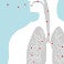 ¿Cómo afecta el virus a los pulmones?