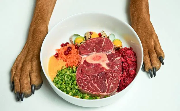 Hrană congelată şi crudă (BARF) > Hrană pentru câini > Câini - Maxi Pet online