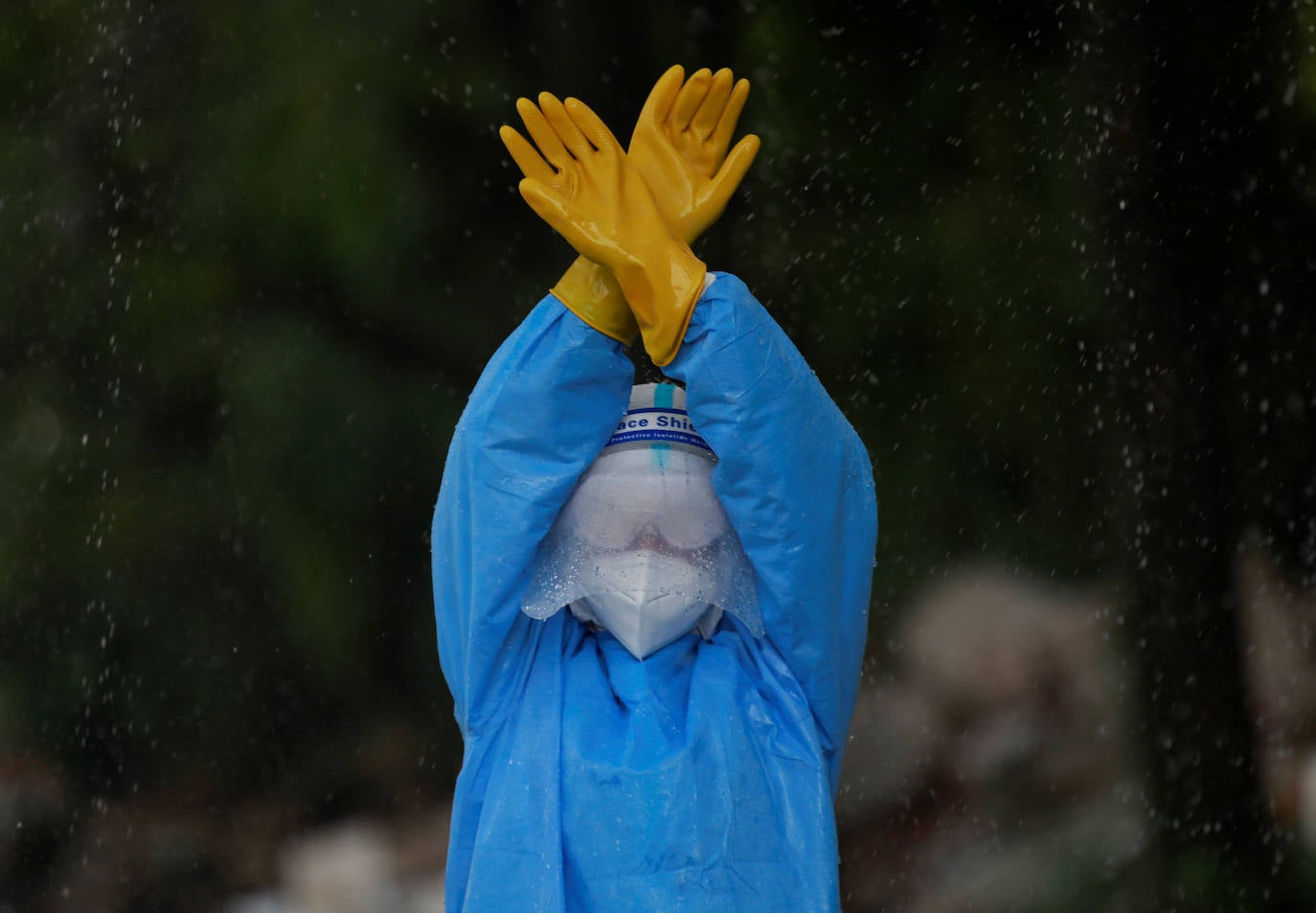 ¿La reina de las cenizas?