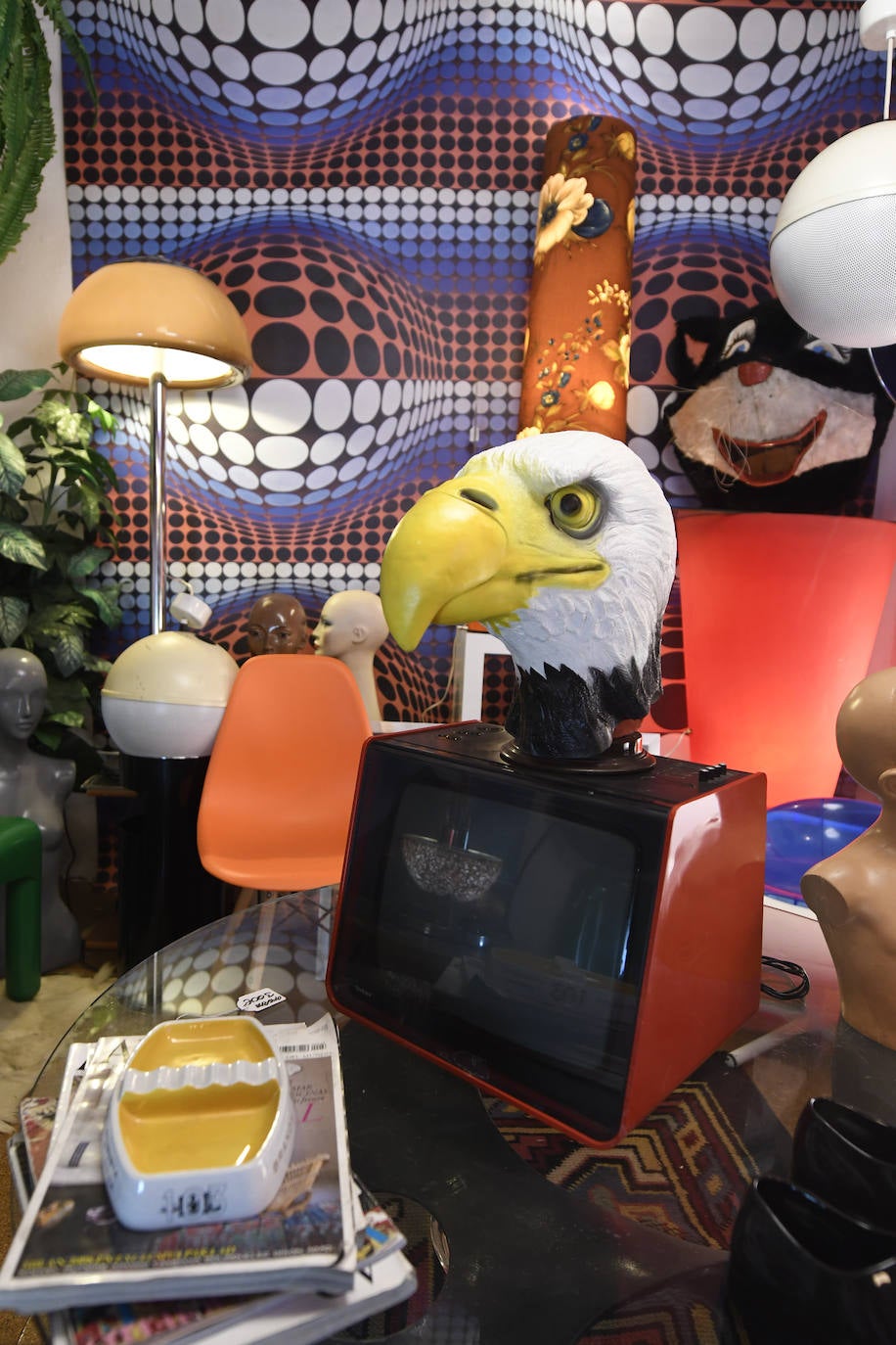 Fotos: El gabinete de curiosidades y objetos ins贸litos de Bilbao que