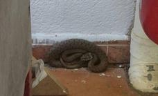 El Ayuntamiento de Arrigorriaga llama a la calma y dice que «no suelen atacar de primeras»./E. C.