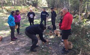 El grupo examina las setas recogidas./