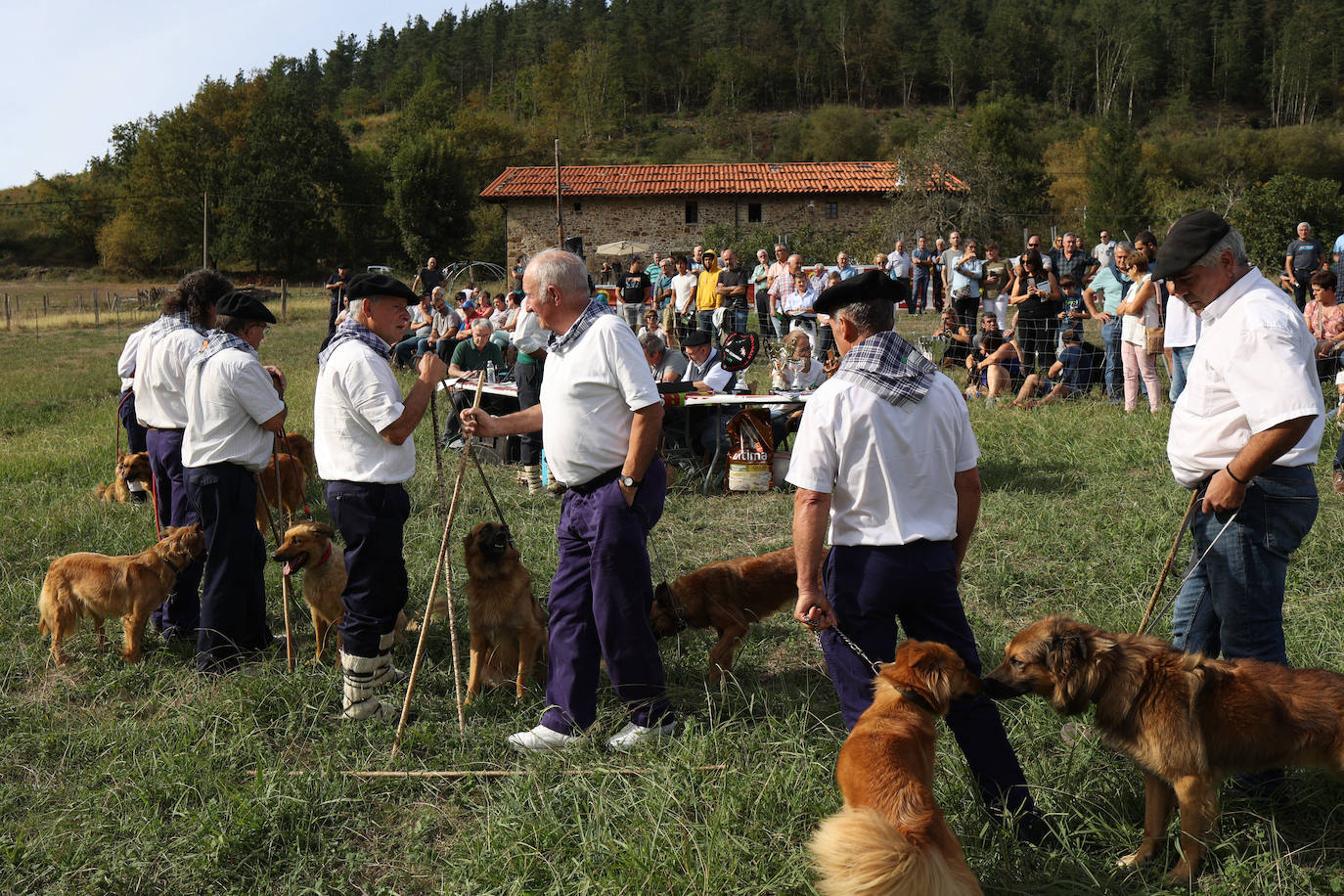 Fotos: Campeonato de Euskadi de perros pastores | El Correo